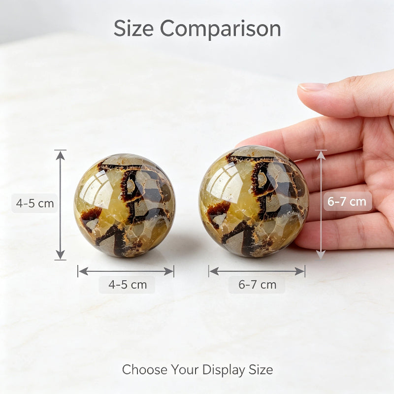 Natural tortoise stone spherical ornament mineral crystal jewelry