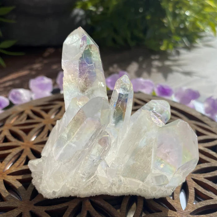 Angel Aura Cluster
