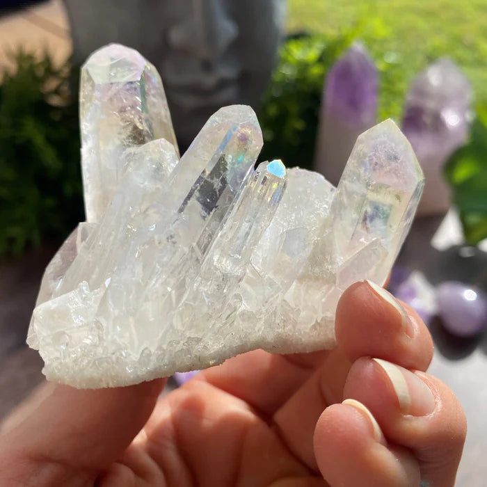 Angel Aura Cluster