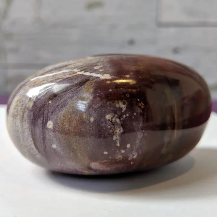 Petrified Wood Palmstone