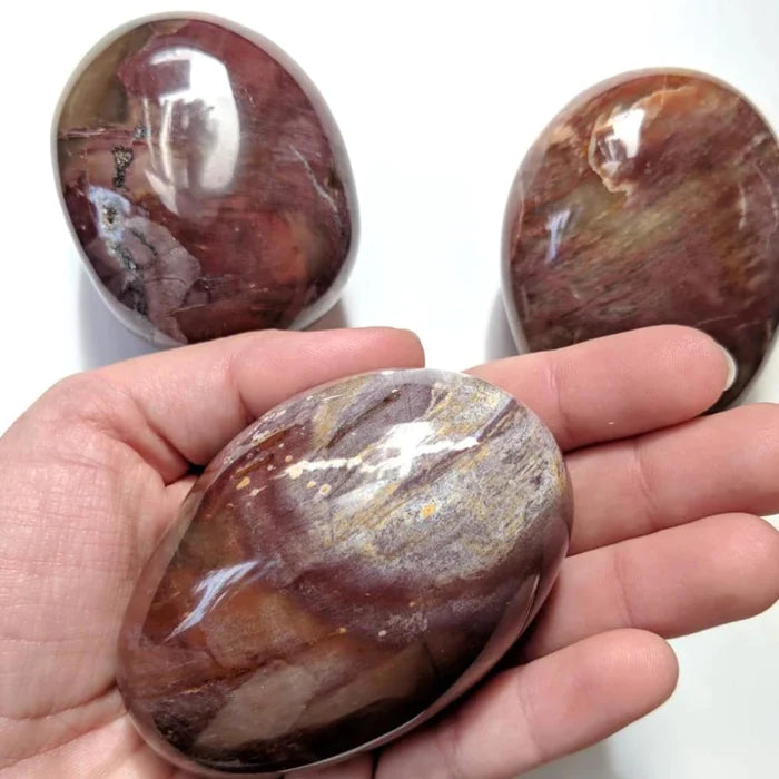 Petrified Wood Palmstone