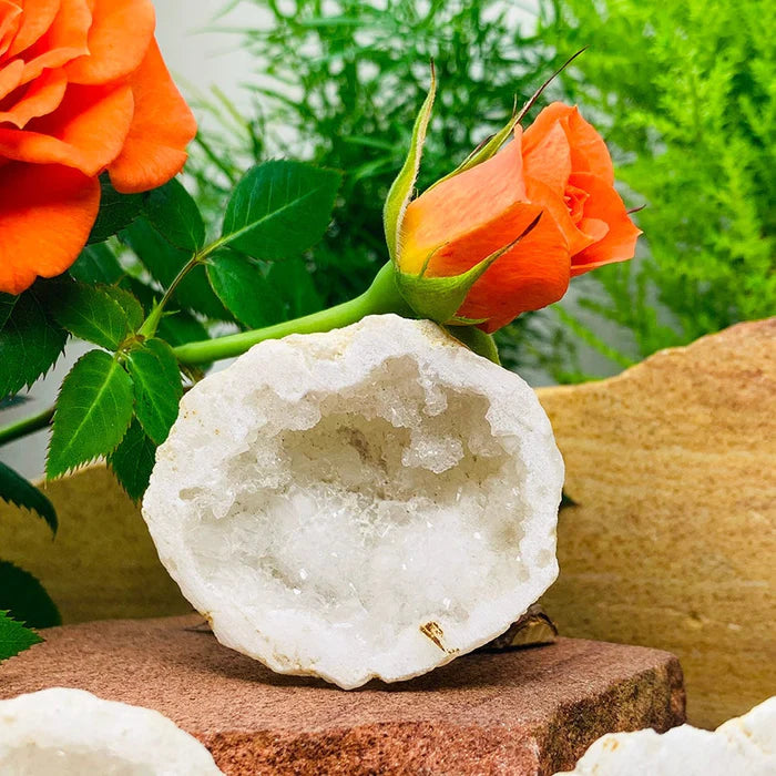 Quartz Geode Agate Crystal