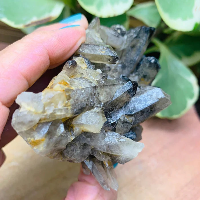 Smoky Quartz Cluster