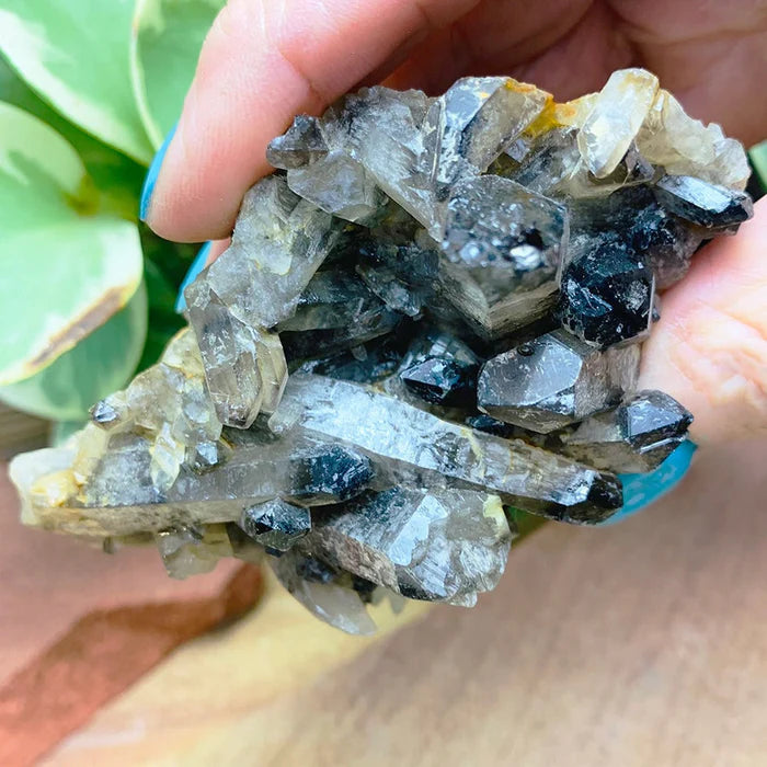Smoky Quartz Cluster