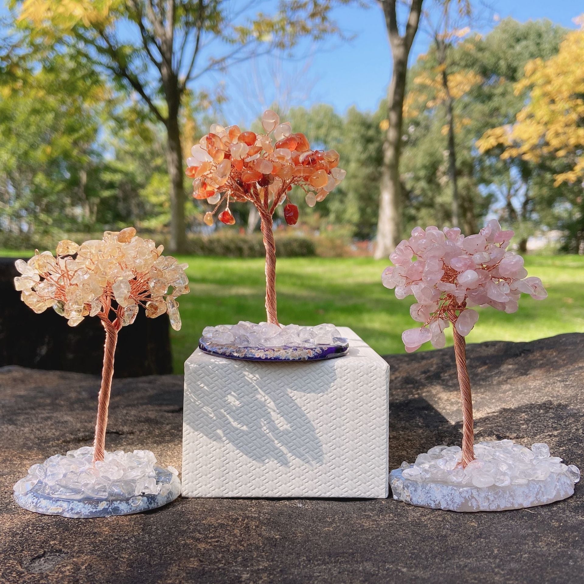 Natural Lucky Money Tree  Agate Base Tree Home Decoration 4 inches